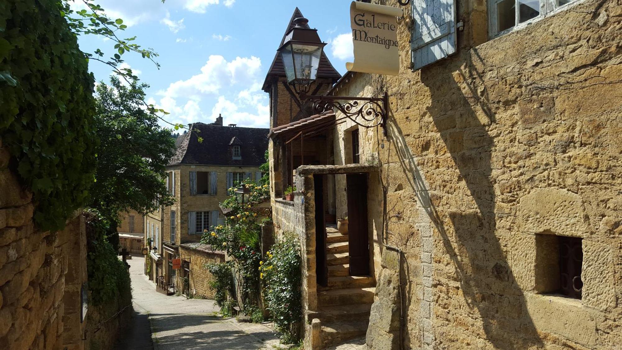 L Appart D En Face Сарла-ла-Канеда Экстерьер фото